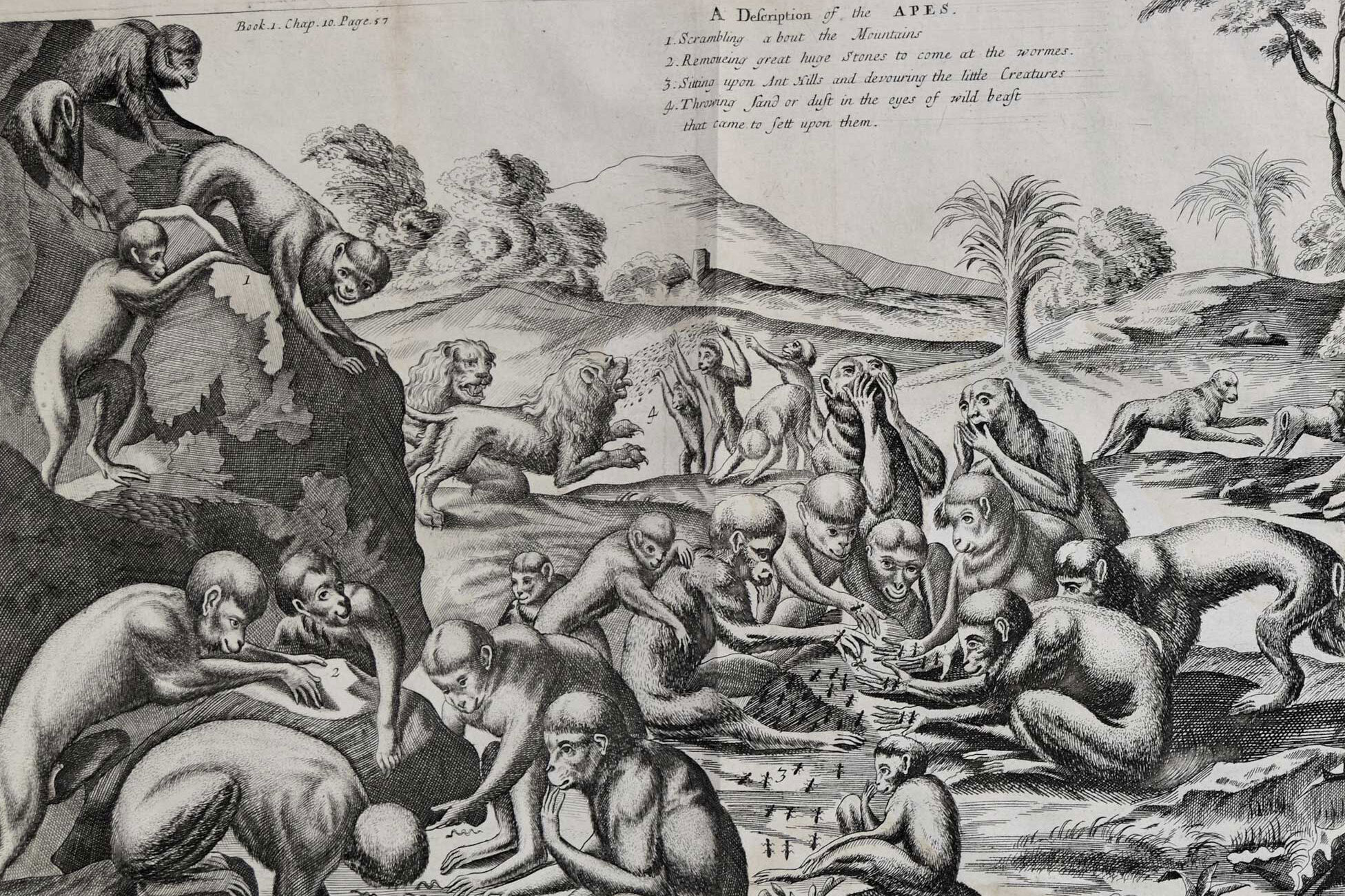 Netzwerk Frühneuzeit-Orientalistik