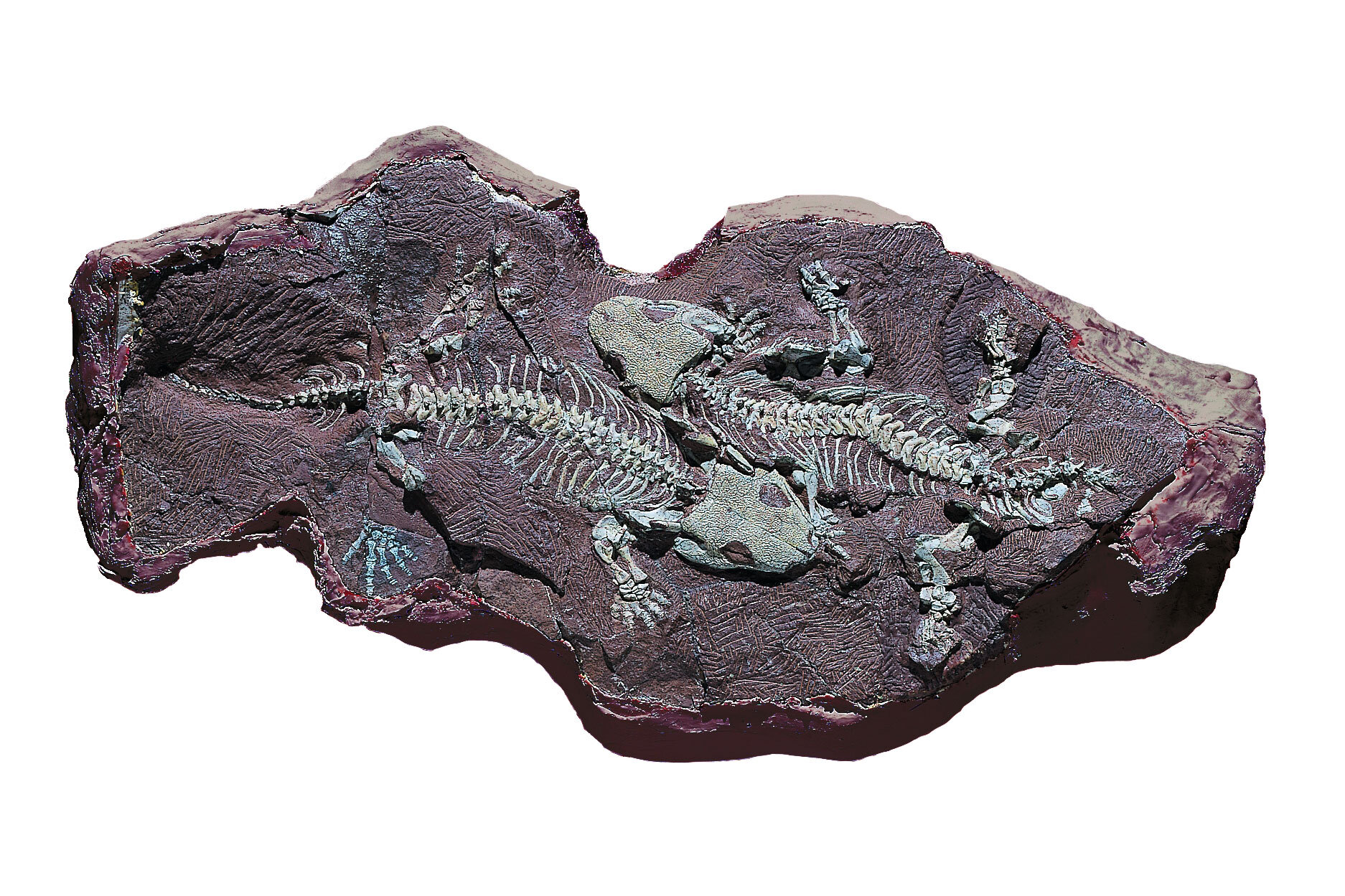 Öffnen von Wissenschaft: Neue Wege des Wissenstransfers am Beispiel des Forschungsprojekts BROMACKER