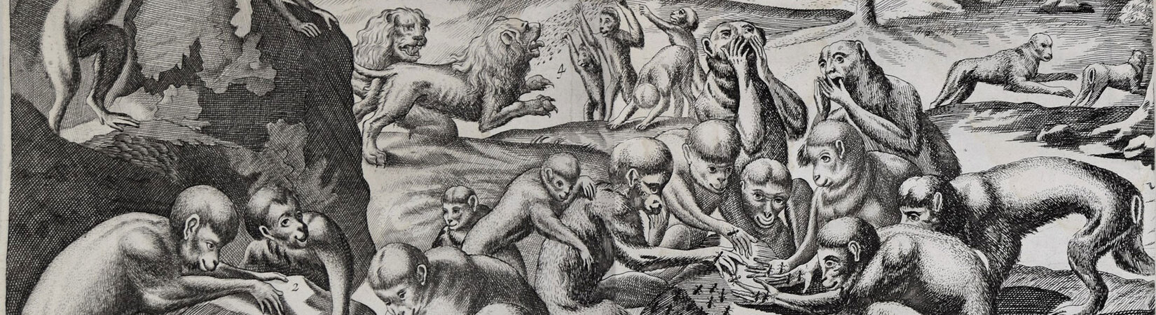 Netzwerk Frühneuzeit-Orientalistik