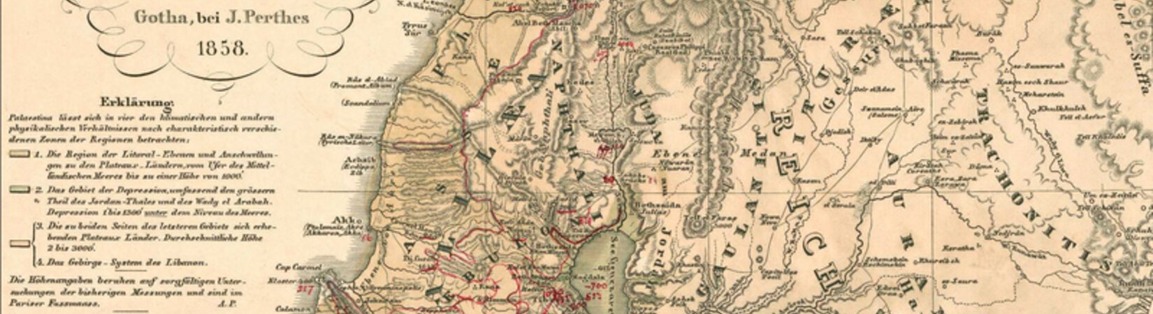 Pflanzen, Karten, Amulette